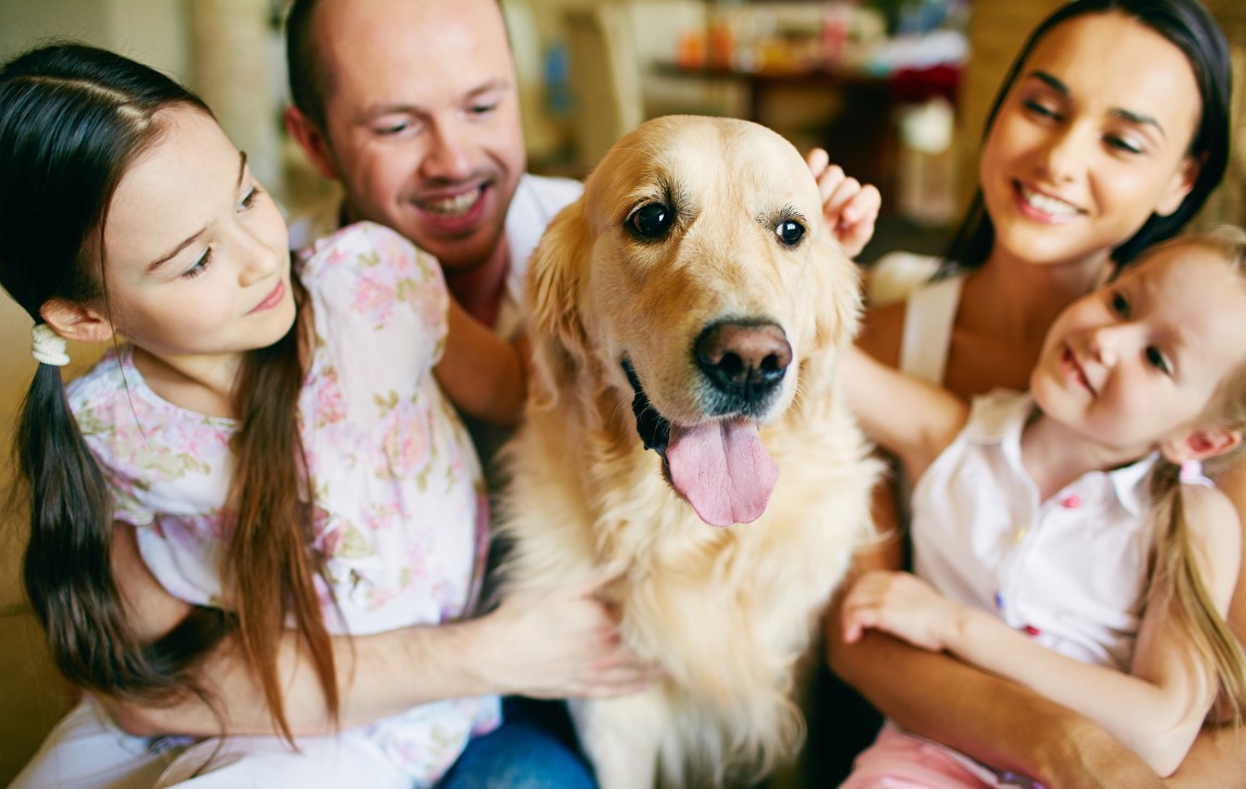 How to Celebrate Special Occasions with Your Pet in Dubai